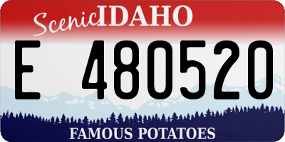 ID license plate E480520