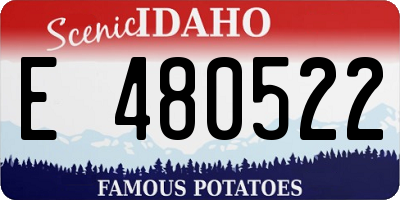 ID license plate E480522