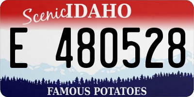 ID license plate E480528