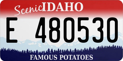 ID license plate E480530
