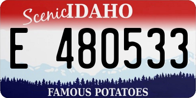 ID license plate E480533