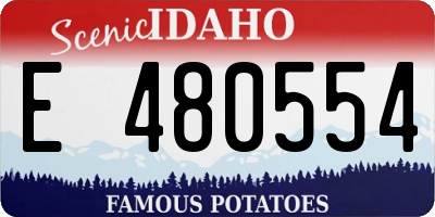 ID license plate E480554