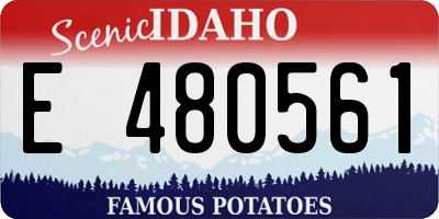ID license plate E480561