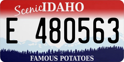 ID license plate E480563