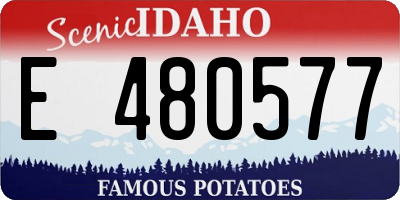ID license plate E480577