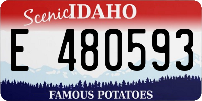 ID license plate E480593