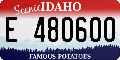 ID license plate E480600