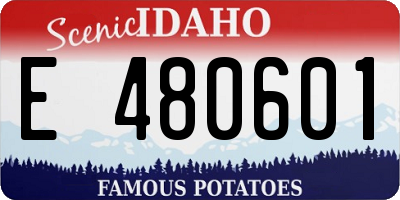 ID license plate E480601