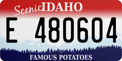 ID license plate E480604
