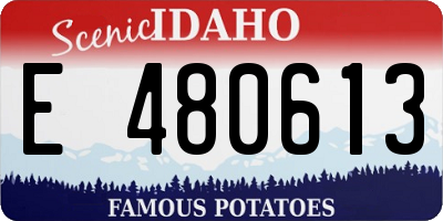 ID license plate E480613