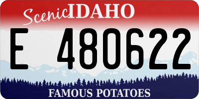 ID license plate E480622