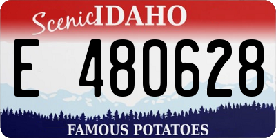 ID license plate E480628