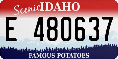 ID license plate E480637