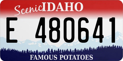 ID license plate E480641