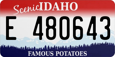 ID license plate E480643