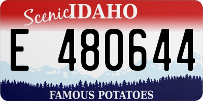 ID license plate E480644