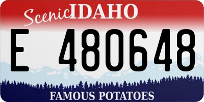 ID license plate E480648