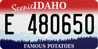 ID license plate E480650