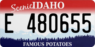 ID license plate E480655