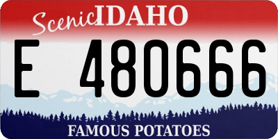 ID license plate E480666