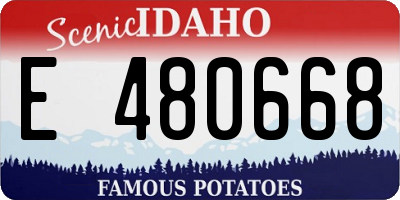 ID license plate E480668