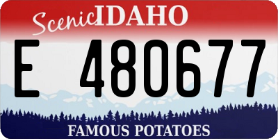 ID license plate E480677