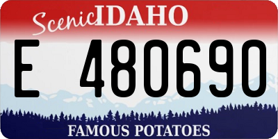 ID license plate E480690