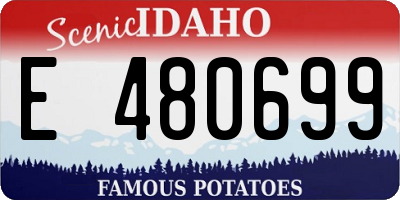 ID license plate E480699