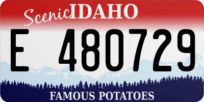 ID license plate E480729