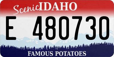 ID license plate E480730
