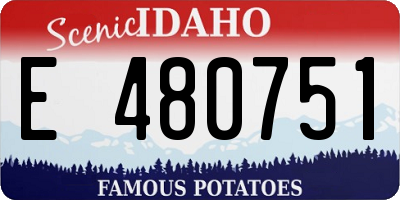 ID license plate E480751