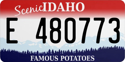 ID license plate E480773