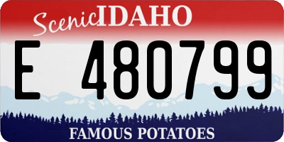 ID license plate E480799