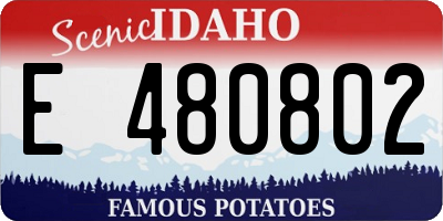 ID license plate E480802