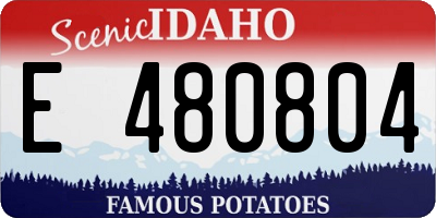 ID license plate E480804