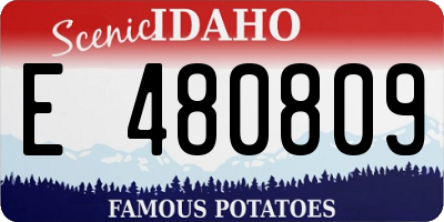 ID license plate E480809
