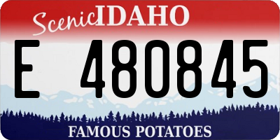 ID license plate E480845