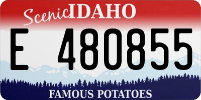 ID license plate E480855