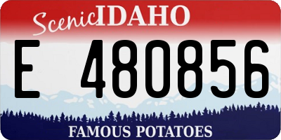 ID license plate E480856