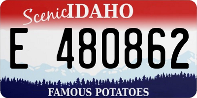 ID license plate E480862