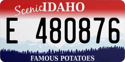 ID license plate E480876