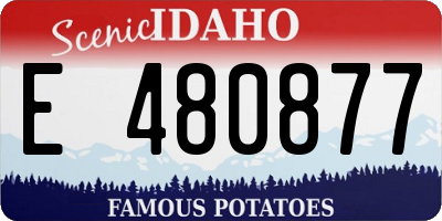 ID license plate E480877