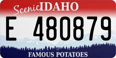 ID license plate E480879