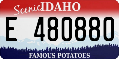 ID license plate E480880