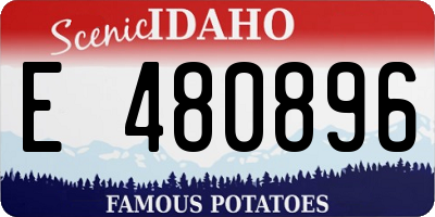 ID license plate E480896