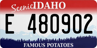 ID license plate E480902