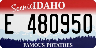 ID license plate E480950