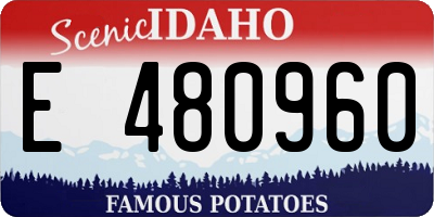 ID license plate E480960