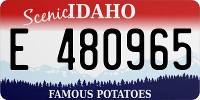 ID license plate E480965