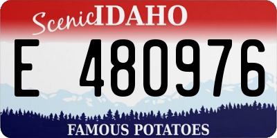 ID license plate E480976